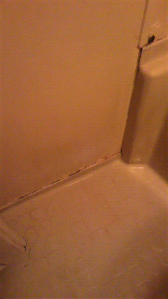 ���j�b�g�o�X��C�H��