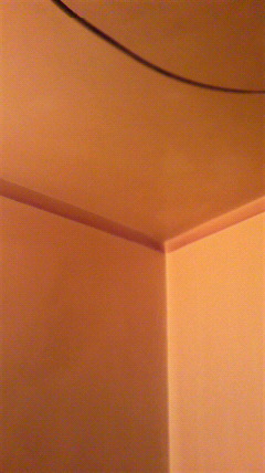 ���j�b�g�o�X��C�H��