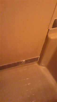 ���j�b�g�o�X��C�H��