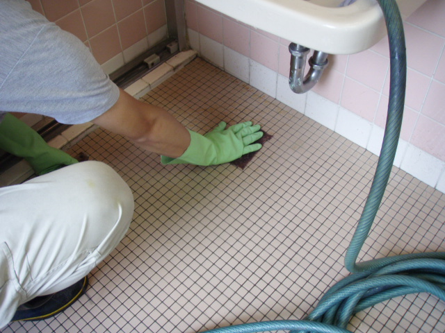 �i�m�V���o�[�R�[�e�B���O�i�R�ہE���L�E�h�J�r�j