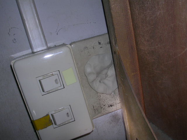 �˂��݁E�l�Y�~�E�l�h��