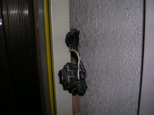 �˂��݁E�l�Y�~�E�l�h��