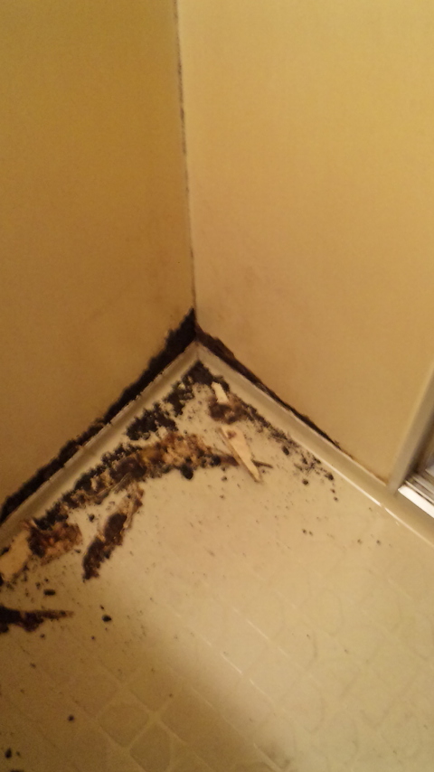 ���j�b�g�o�X��C�H��