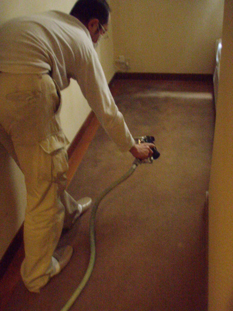 �i�m�V���o�[�R�[�e�B���O�i�R�ہE���L�E�n�E�X�_�X�g���ʁj