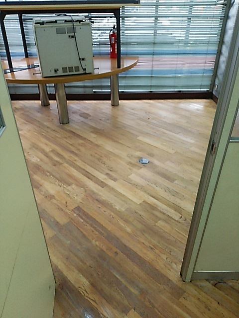 �t���[�����O���F���b�N�X�h�z�{�H�O