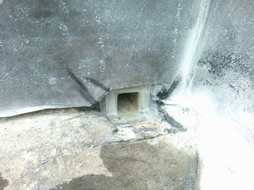 �h�������C