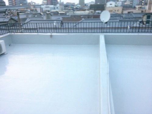 ����h���{�H����